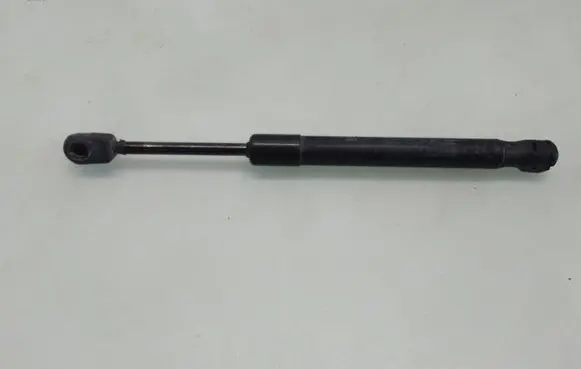 Tailgate/trunk strut/damper