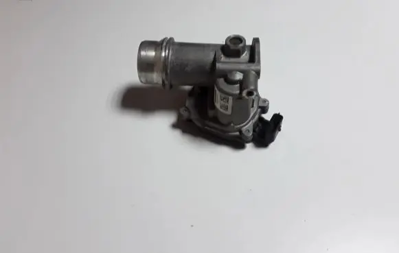 Renault Kadjar Throttle valve 161A03415R
