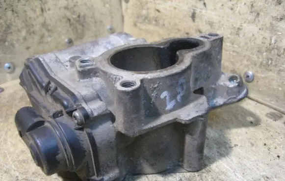 Renault Laguna I EGR valve 8200693739H820032701