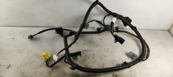 Other wiring loom