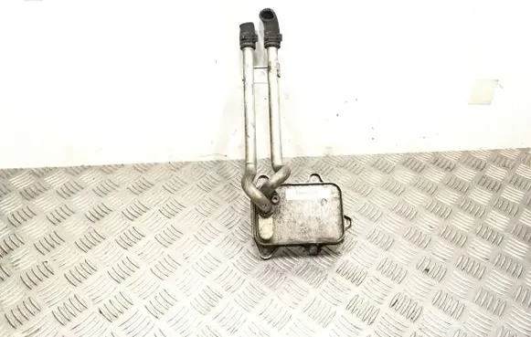 Volkswagen Jetta V Engine oil radiator 03C117021E