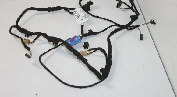 Front door wiring loom