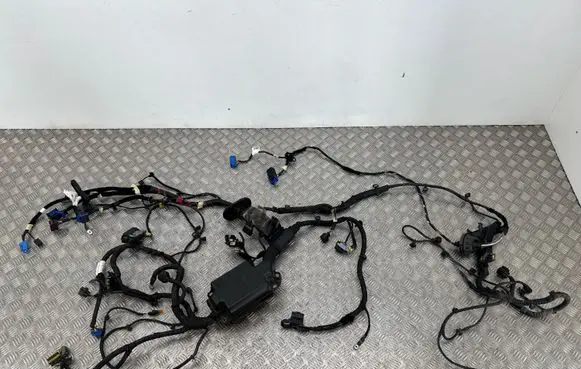 Fiat Tipo Engine installation wiring loom Z52164385