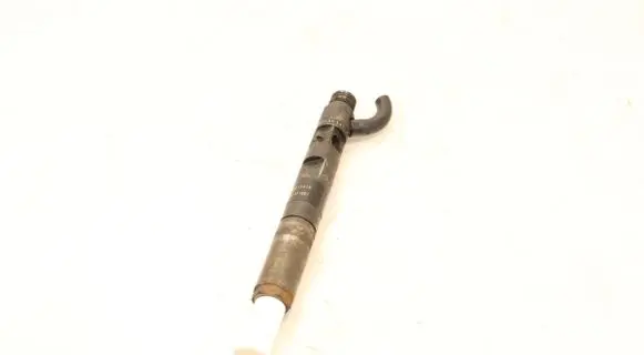 Renault Clio III Fuel injector EJBR05102D
