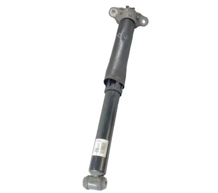 Ford Kuga III Rear shock absorber/damper LX6118080NBF LX6118A116AA