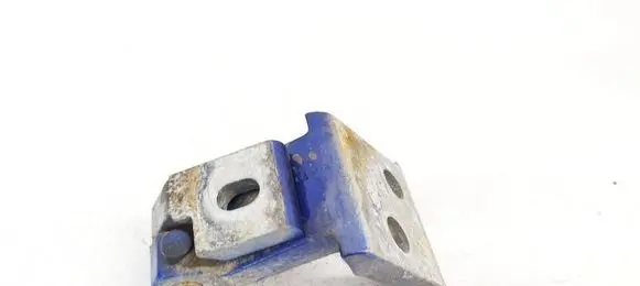 Seat Cordoba (6K) Rear door lower hinge