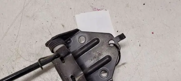 Citroen Berlingo Loading door check strap stopper