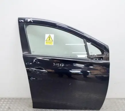 Renault Zoe Front door 801004005R