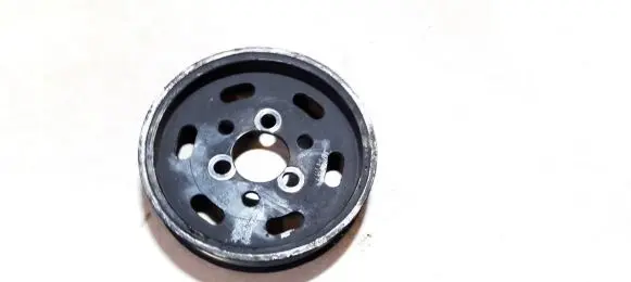 Volkswagen Golf IV Power steering pump pulley 038145255B