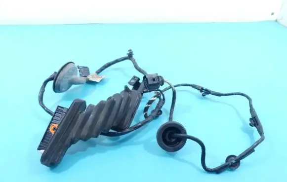 Rear door wiring loom