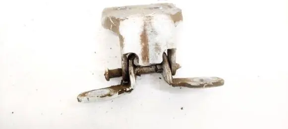 Dacia Sandero Rear door lower hinge