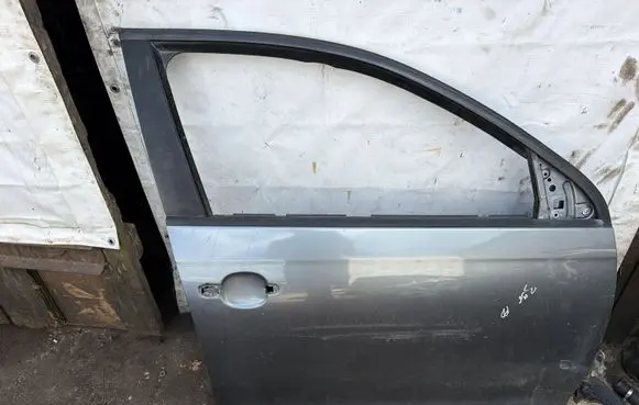 Volkswagen Golf V Front door
