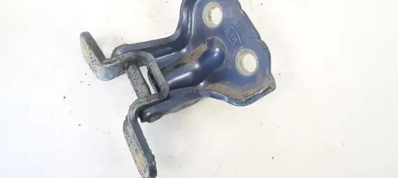 KIA Sorento Rear door lower hinge
