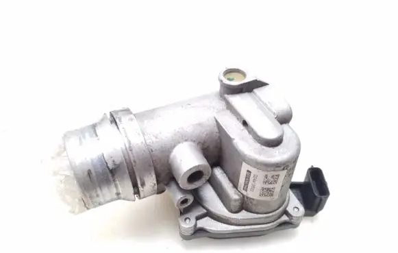 Nissan Qashqai Throttle valve 161A09794R