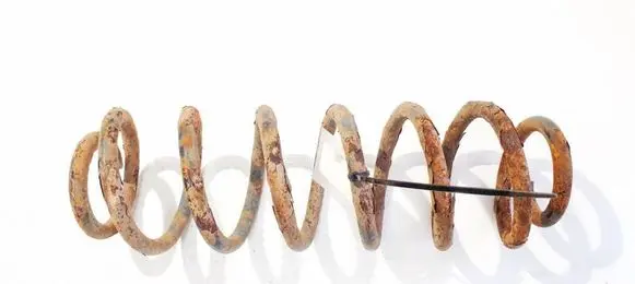 Volkswagen Jetta V Rear coil spring