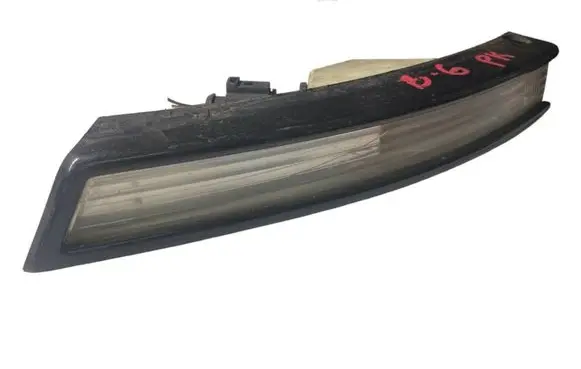 Volkswagen PASSAT B6 Front indicator light 3C0953041E