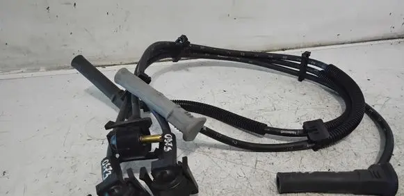 Ford Mustang V Ignition plug leads 
