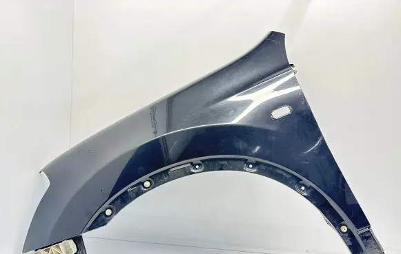 Nissan Qashqai Fender F3101JD0M0