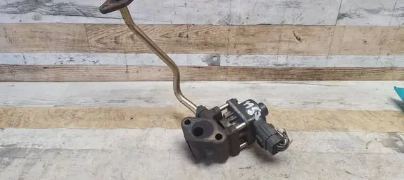 EGR valve