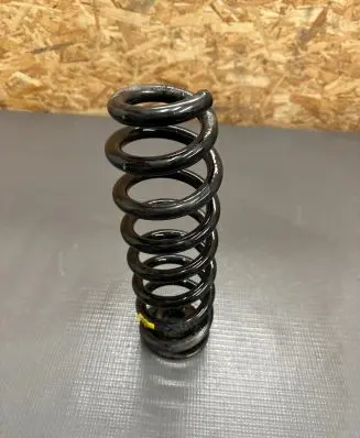 Opel Insignia B Rear coil spring