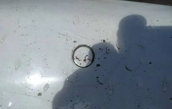 Audi A4 S4 B8 8K Parking PDC sensor