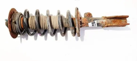 Chevrolet Captiva Front shock absorber/damper