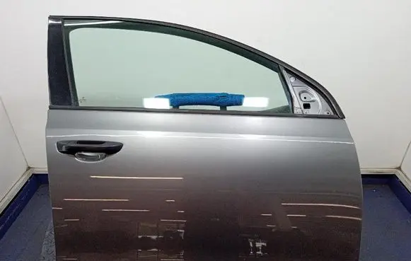 Volkswagen Golf Plus Front door