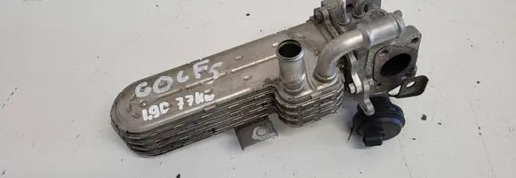 Volkswagen Golf V EGR valve cooler 3210275 038131513AD 334000808