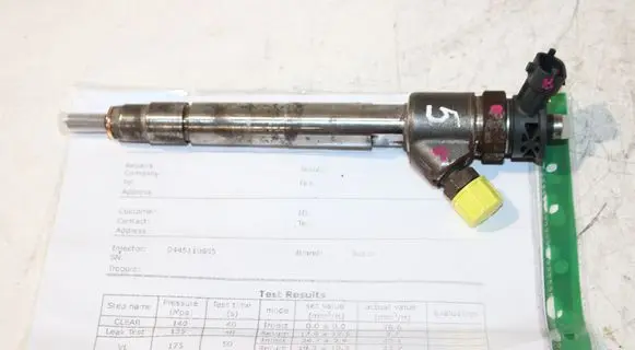 Peugeot Partner III Fuel injector 0445110955 9828959880