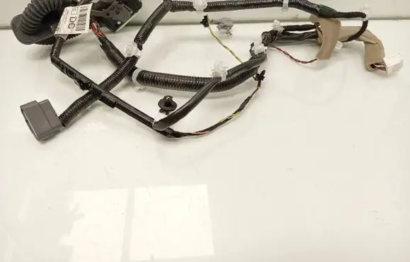 Nissan Leaf I (ZE0) Front door wiring loom 241243NL0B