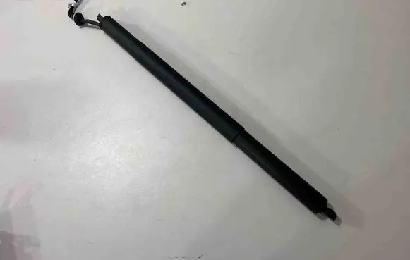 Tailgate/trunk strut/damper