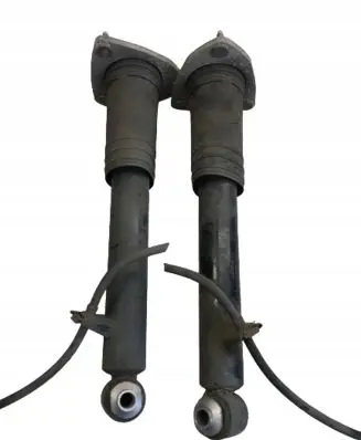 BMW X5 E70 Rear shock absorber/damper 6782878 6782877