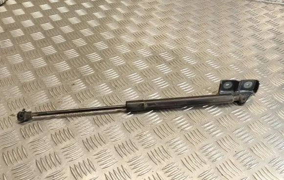 Renault Zoe Tailgate/trunk strut/damper 904502915R