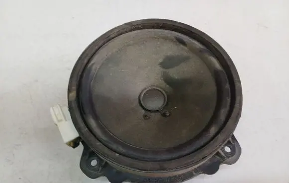 Opel Antara Front door speaker 25907871