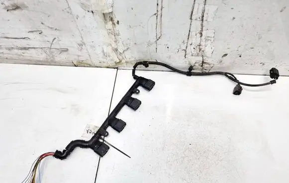Other wiring loom