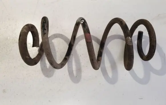 Rear coil spring