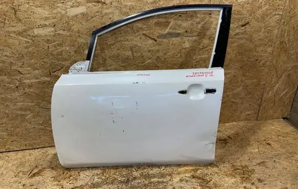 Nissan Leaf II (ZE1) Front door S2503H048