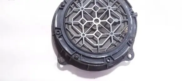 Citroen C5 Front door speaker