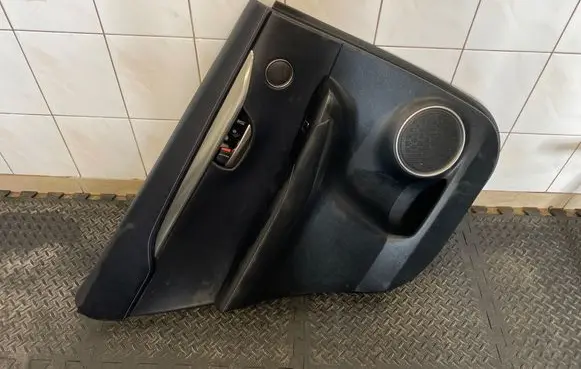 Lexus NX Rear door card panel trim