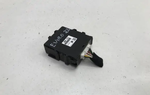 KIA Niro Other control units/modules 4295018001