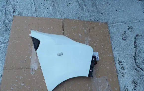 Renault Trafic III (X82) Fender