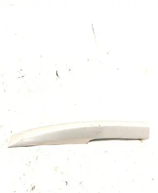 Renault Laguna III Roof bar rail 04700257AA 73821000
