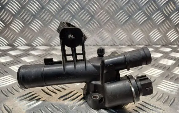 Thermostat/thermostat housing