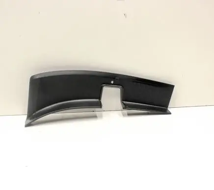 Rear/tail light trim molding