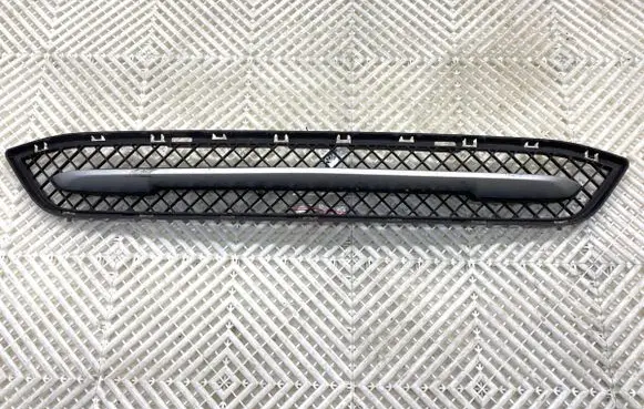 BMW X1 E84 Front bumper lower grill 