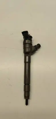 Renault Espace V (RFC) Fuel injector 0445110569