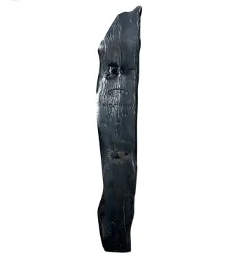 Ford Mustang VI Fender foam support/seal FR3B6316E560A