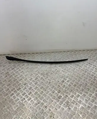 Citroen DS4 Windshield trim 3000022657