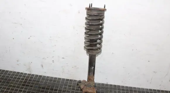 Mercedes-Benz R W251 Front shock absorber/damper