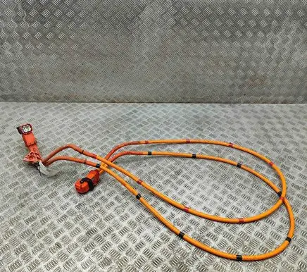 Tesla Model Y Other wiring loom 110900300E